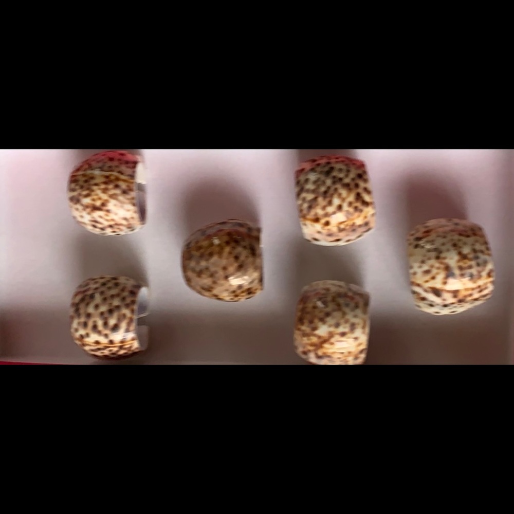 Hand Crafted Cowry Shell Napkin Ring Holders